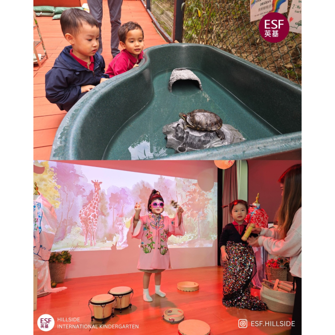 590701109_17893200522364981_9135561314790451562_n