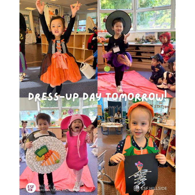 572098647_17890276470364981_2339999345770844501_n