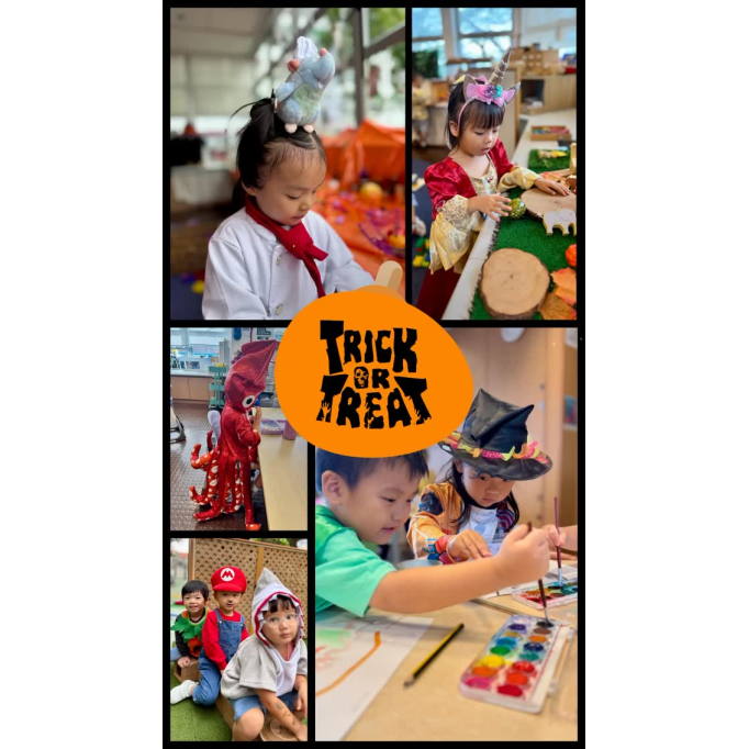 571881692_834229622484729_743365513229540237_n